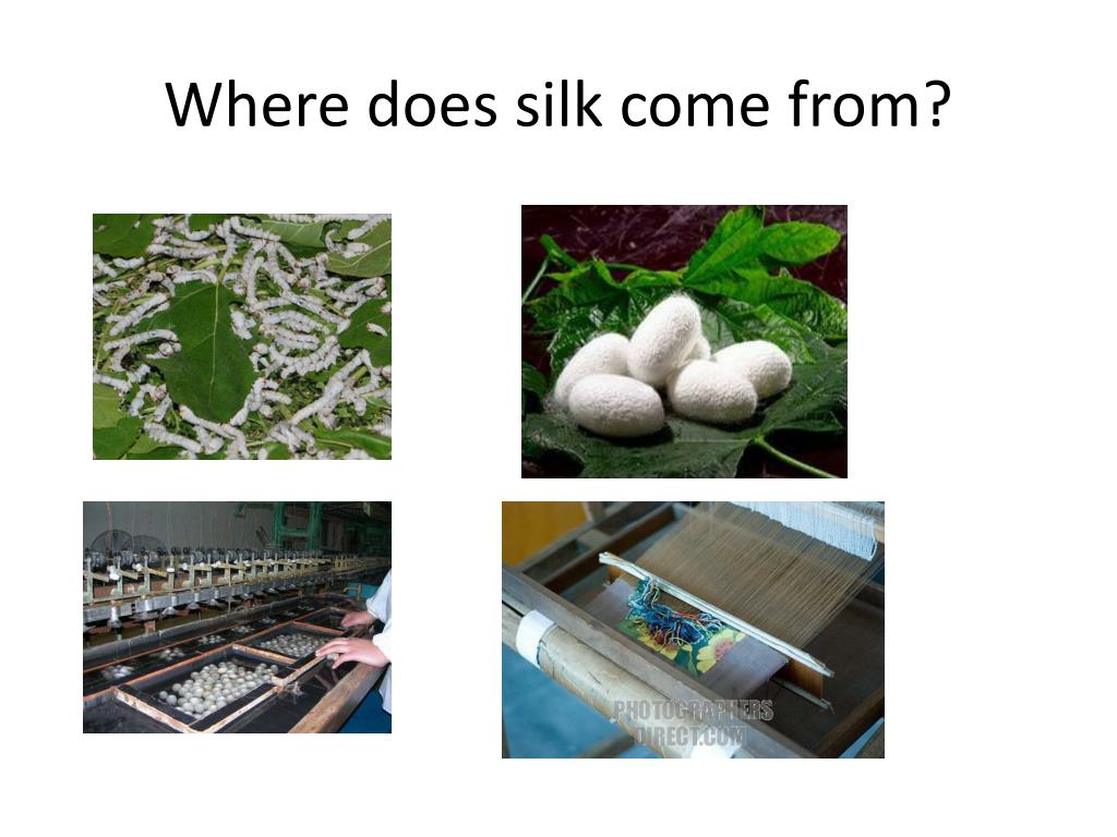 PPT Chinese Silk and the Silk Road PowerPoint Presentation, free