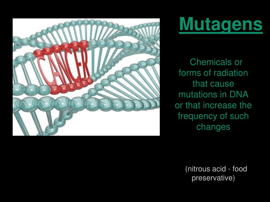 PPT Chapter 14 Environmental Hazards & Human Health PowerPoint