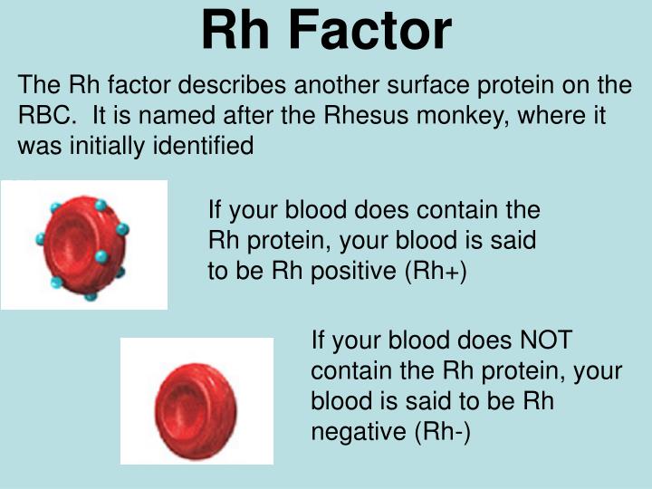 PPT Blood Typing PowerPoint Presentation ID2602000