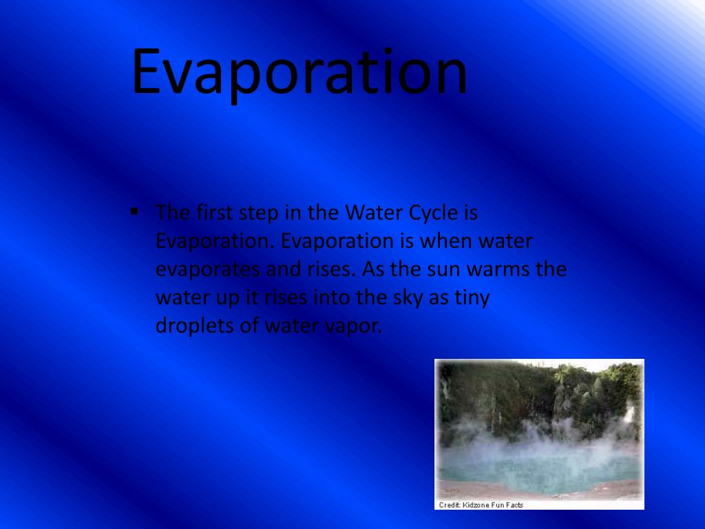 PPT The Water Cycle PowerPoint Presentation, free download ID2602936