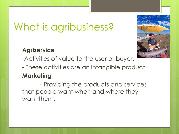 PPT The Scope and Importance of Agribusiness PowerPoint