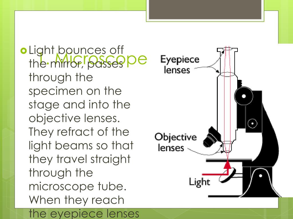 PPT Refraction PowerPoint Presentation, free download ID2610975