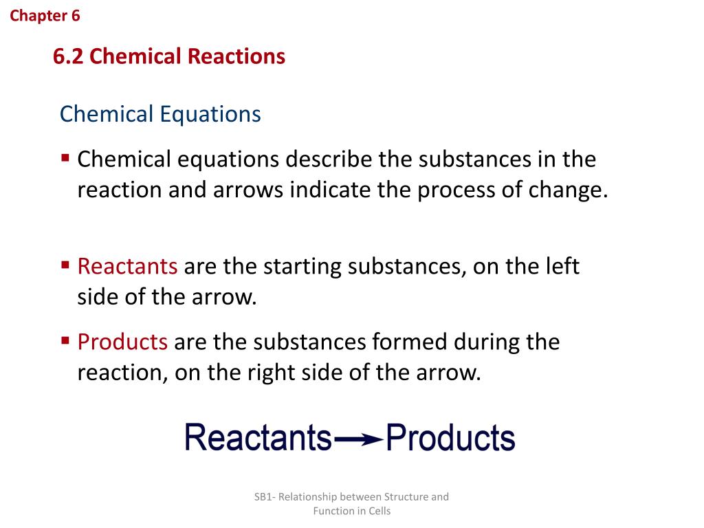 PPT Biochemistry Notes PowerPoint Presentation ID2613377