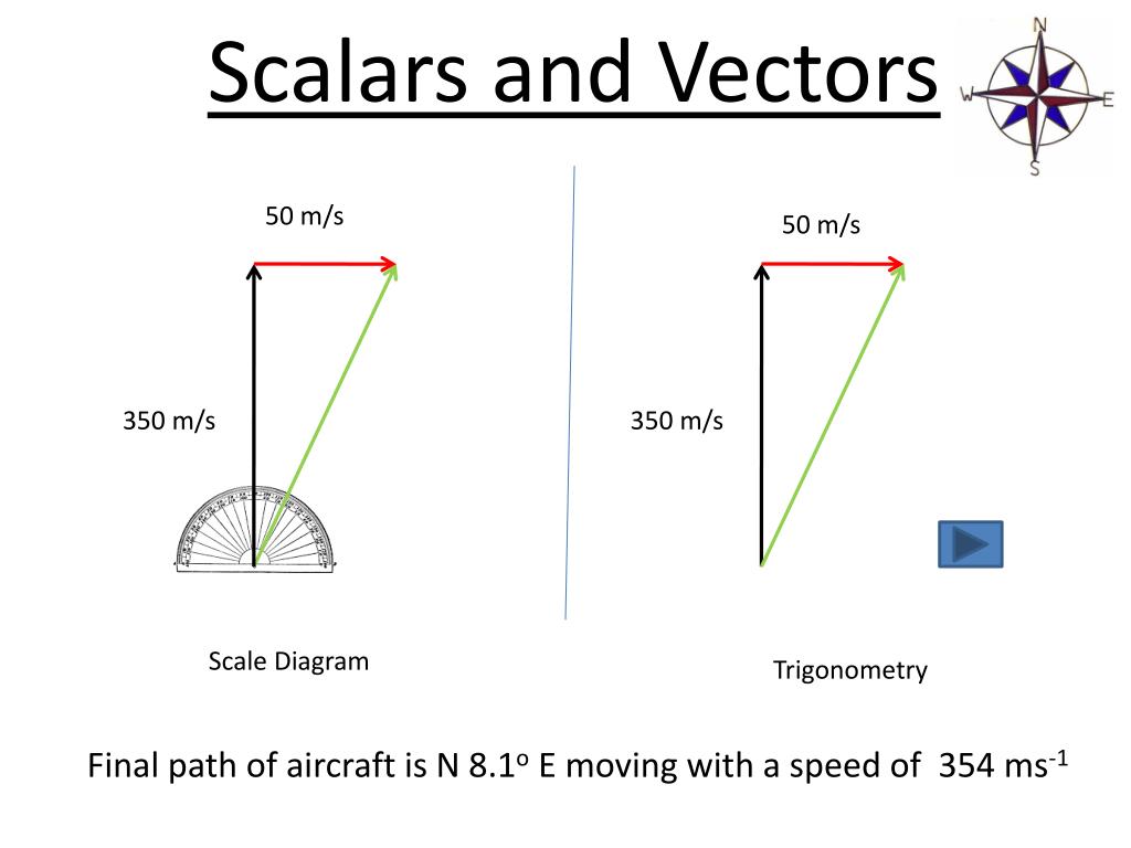 PPT Scalars and Vectors PowerPoint Presentation, free download ID
