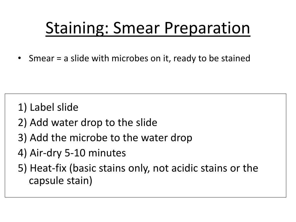 PPT Microscopy PowerPoint Presentation, free download ID2620783