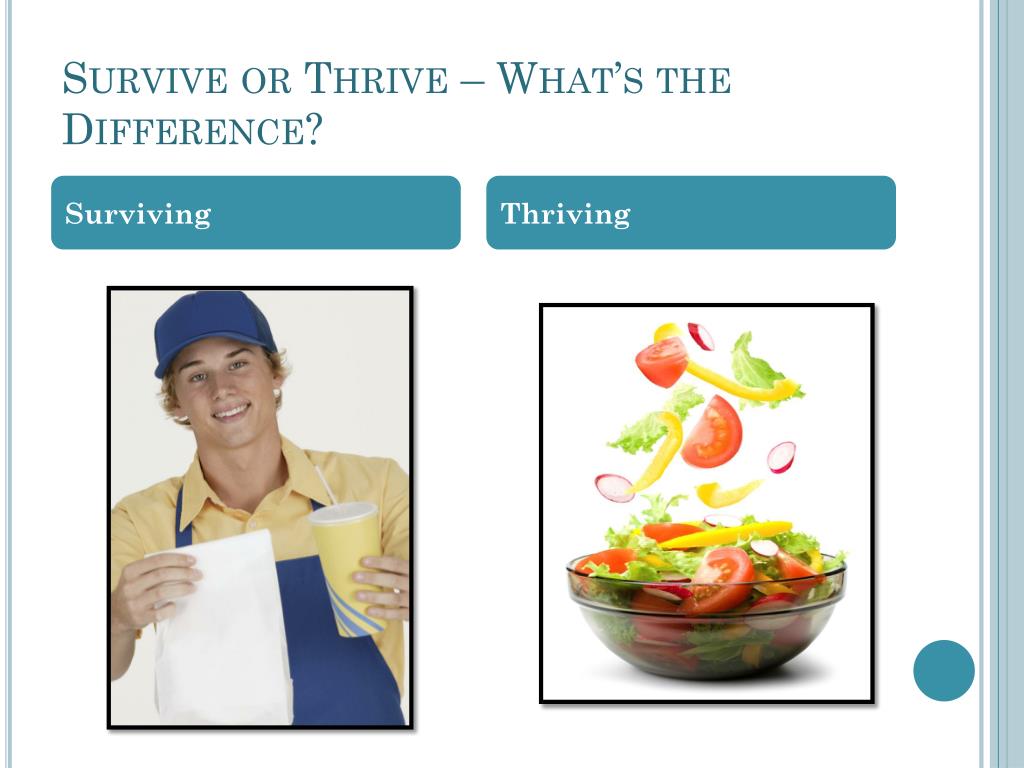PPT ERS . . . Survive or Thrive PowerPoint Presentation, free