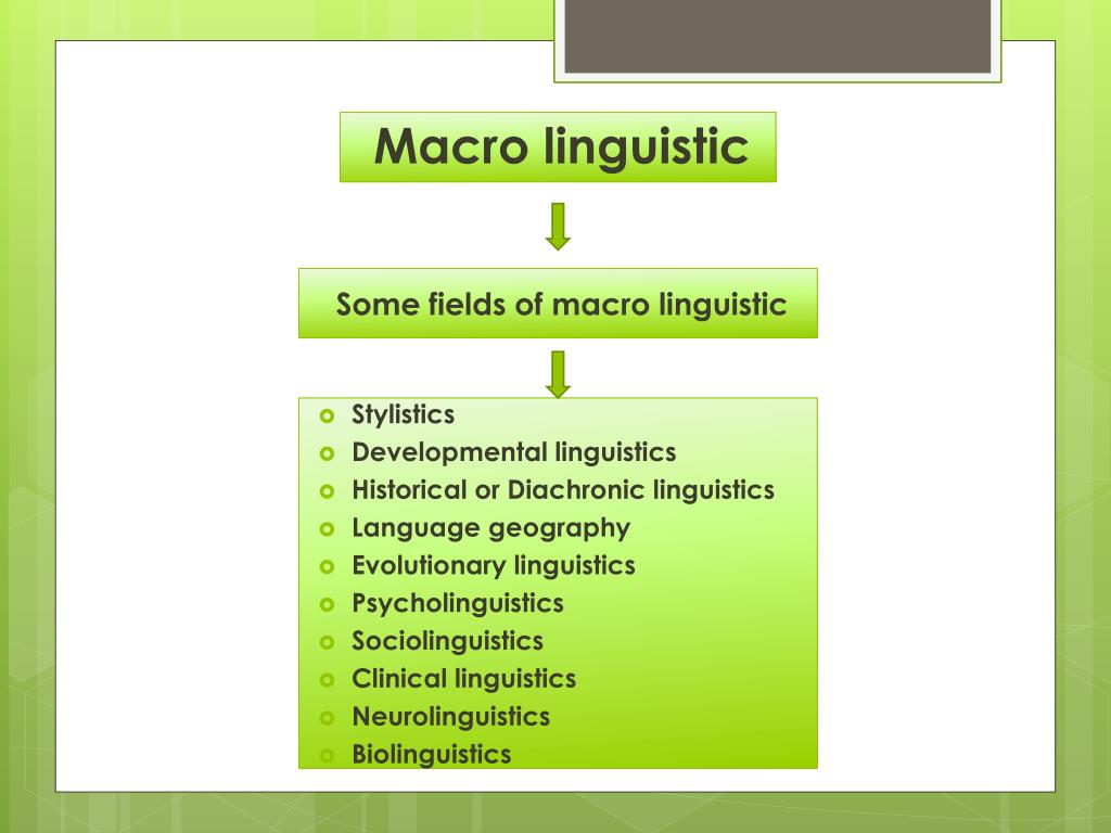 PPT Introduction to Linguistics PowerPoint Presentation, free