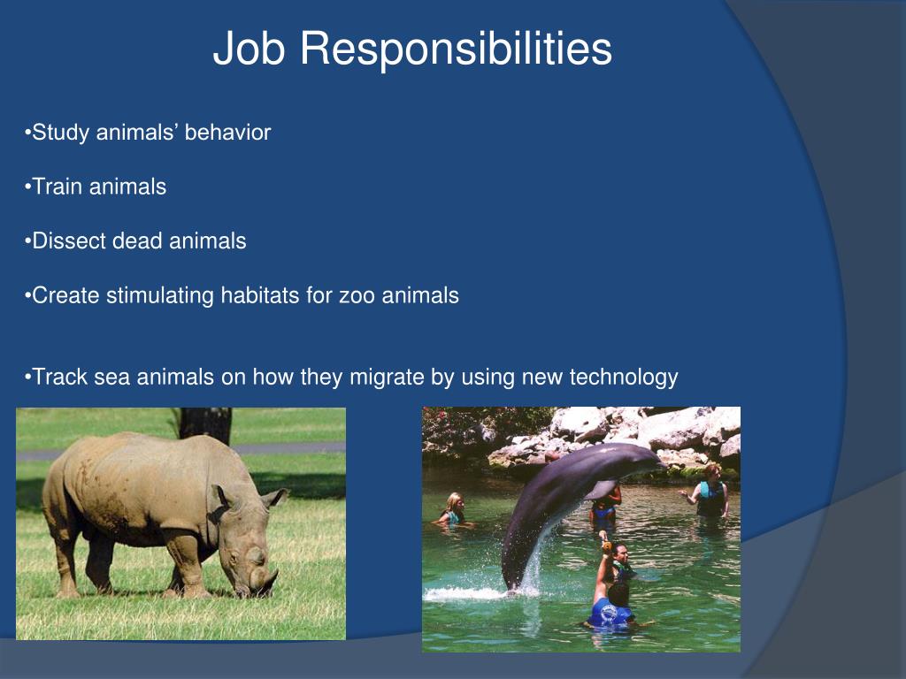 PPT Zoologists and Wildlife Biologists PowerPoint Presentation, free
