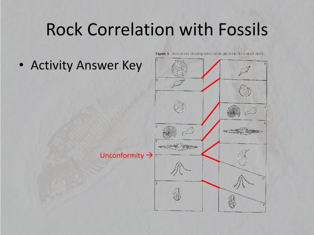 PPT “The Present is the Key to the Past” PowerPoint Presentation ID