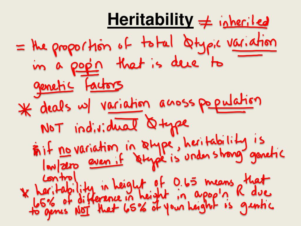 PPT Why are monozygotic twins useful in human heritability studies