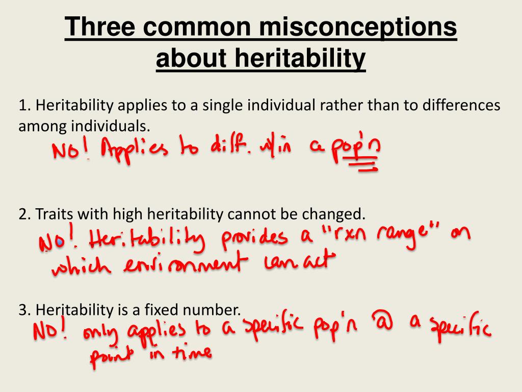 PPT Why are monozygotic twins useful in human heritability studies