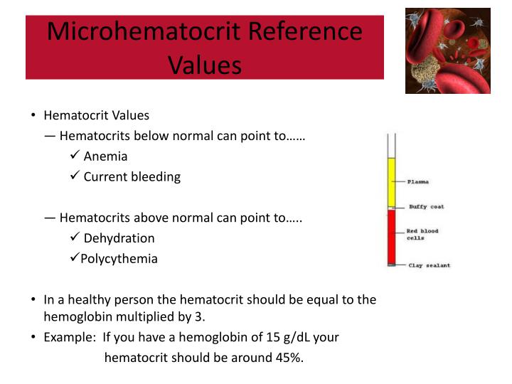 PPT Microhematocrit Determination PowerPoint Presentation ID2624948