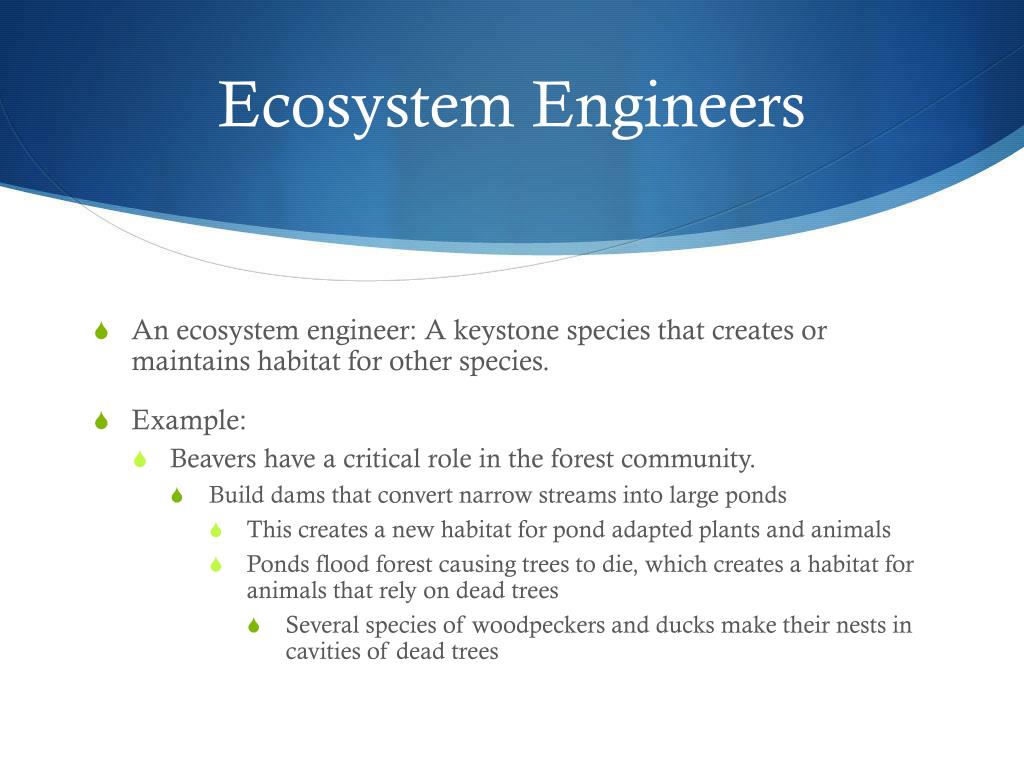 PPT Biodiversity PowerPoint Presentation, free download ID2627481