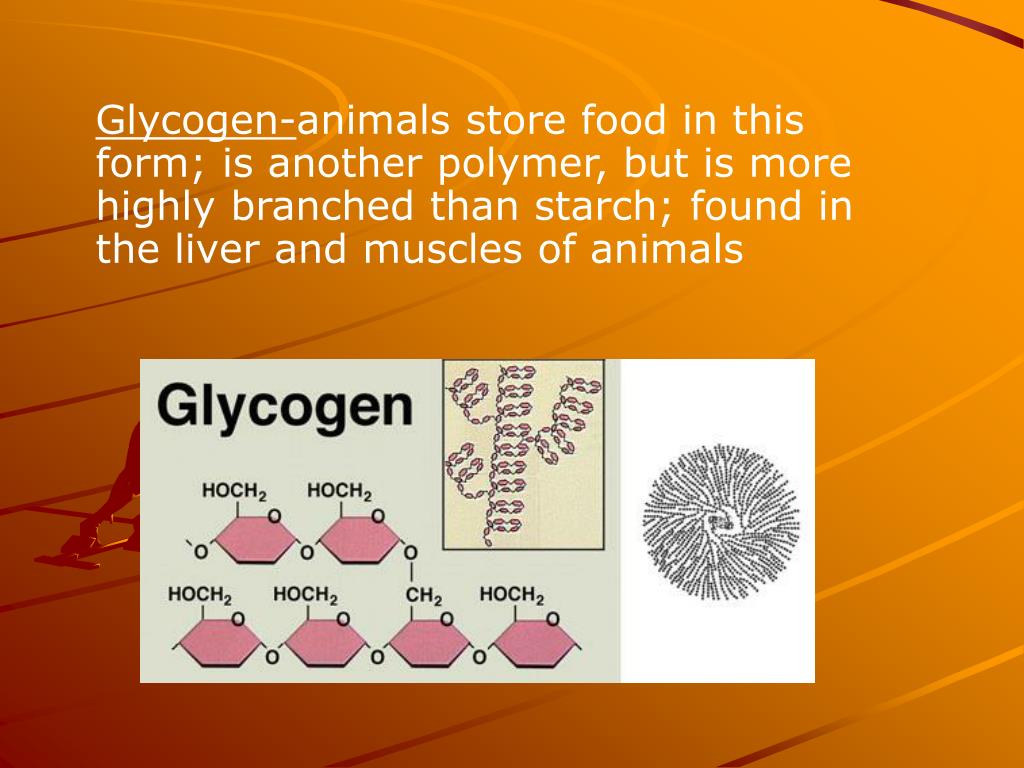 PPT The Building Blocks of Life PowerPoint Presentation, free