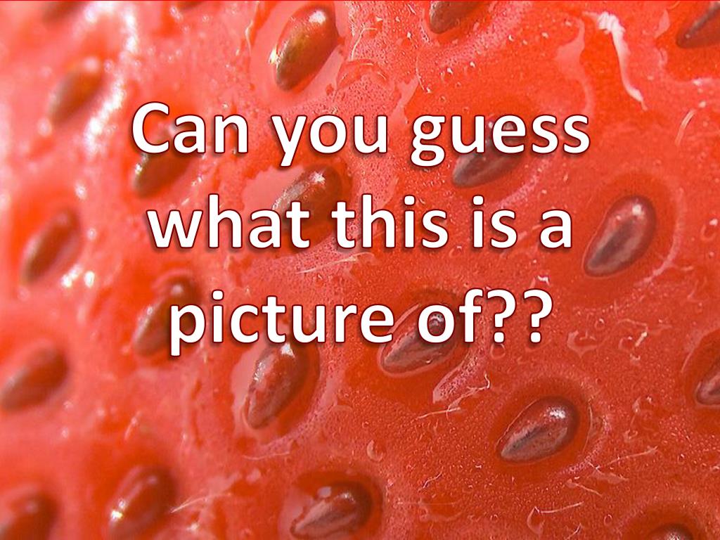 PPT - Picture Reveal Game PowerPoint Presentation, free download - ID