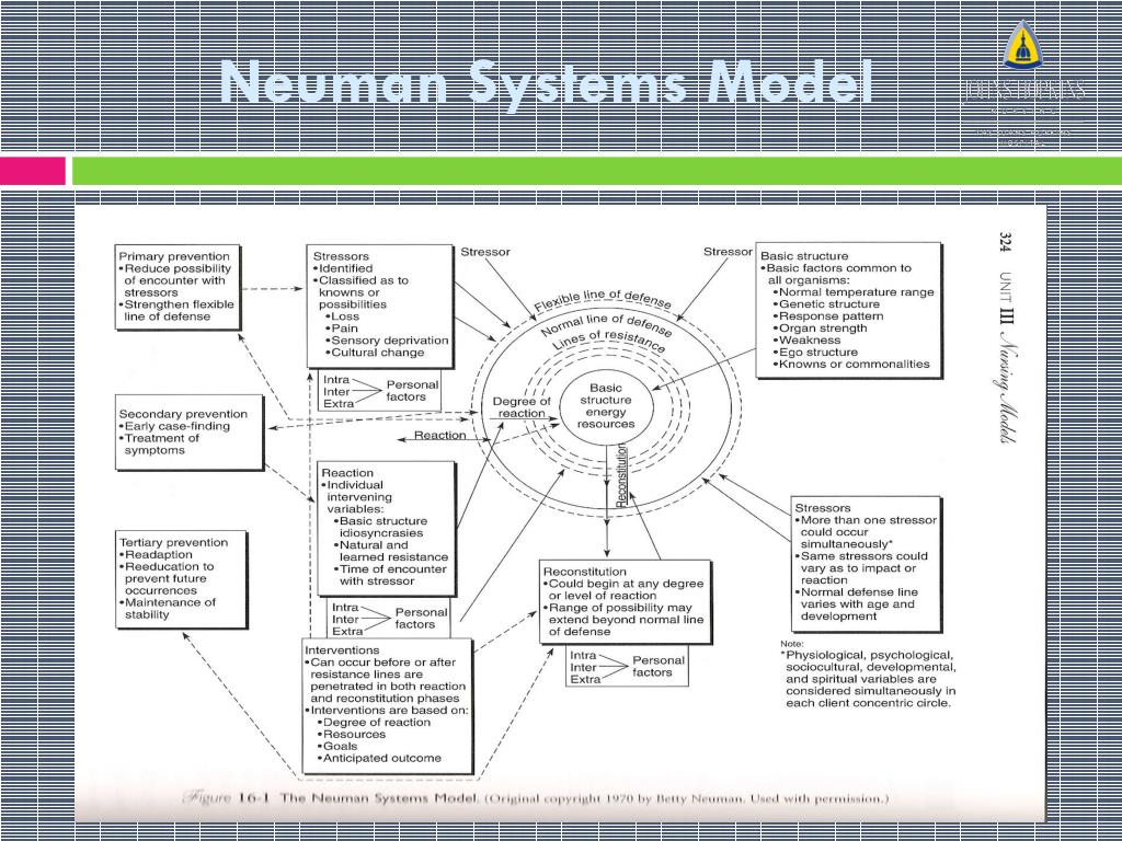 PPT Patient Safety in the ICU! Utilizing the Neuman Systems Model