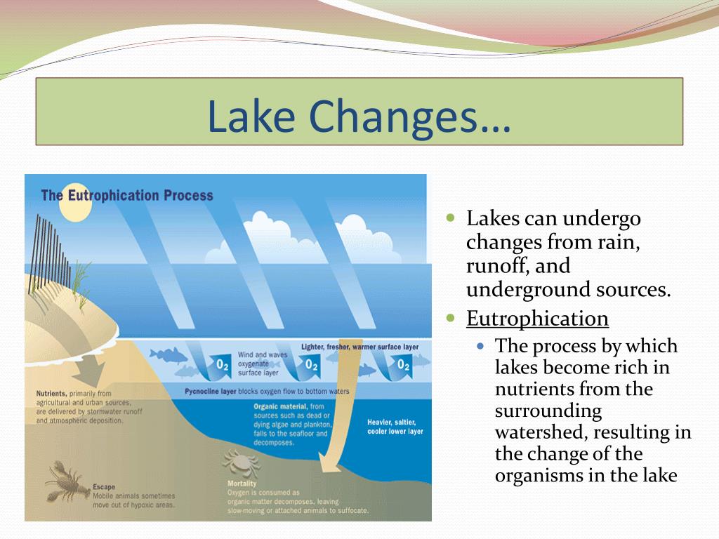 PPT Surface Water PowerPoint Presentation, free download ID2634351