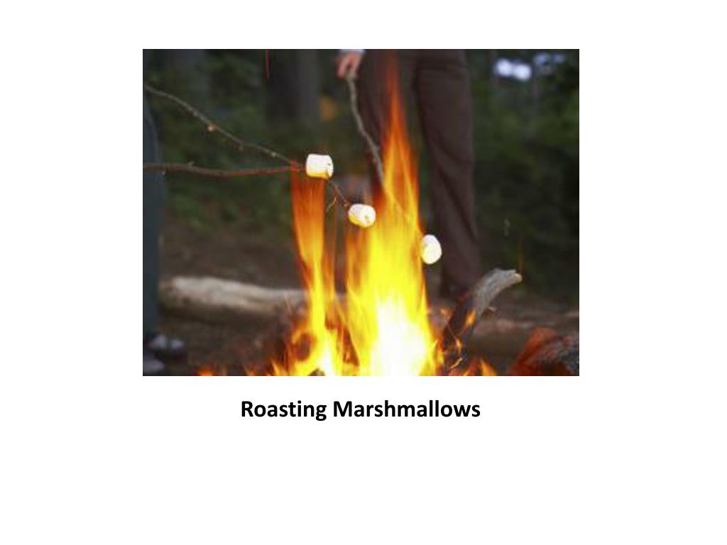 PPT What is a type of material that is a pure substance and is