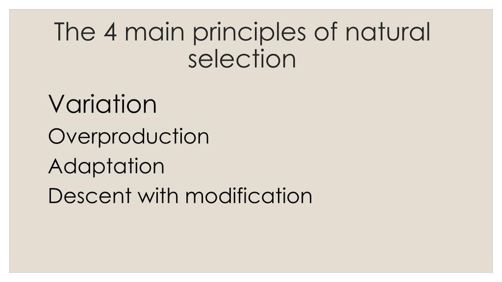 PPT Theory of Natural Selection PowerPoint Presentation, free