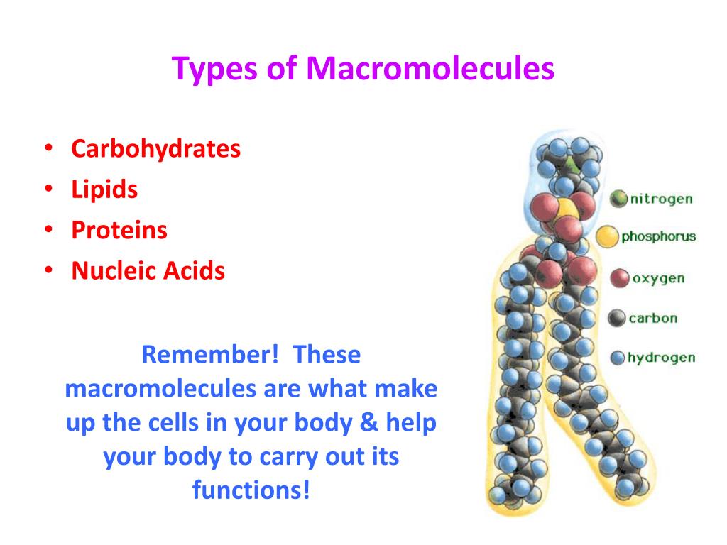 PPT Carbon Compounds PowerPoint Presentation, free download ID2643444