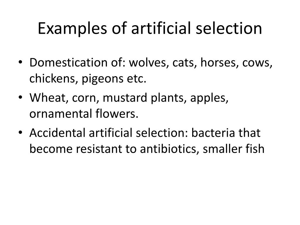PPT Artificial Selection PowerPoint Presentation, free download ID