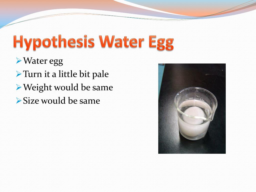 PPT Egg Osmosis Experiment PowerPoint Presentation, free download ID2644521