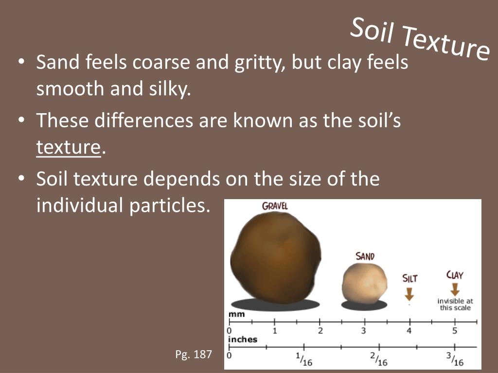 PPT How Soil Forms PowerPoint Presentation, free download ID2647146