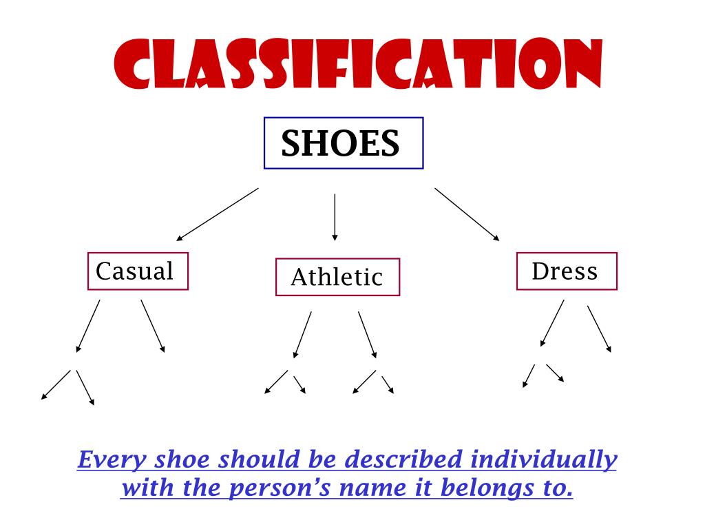 PPT CLASSIFICATION Prior Knowledge PowerPoint Presentation, free download ID2647656