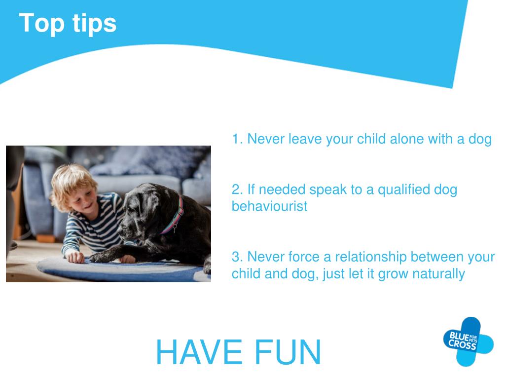 PPT Keeping your child Safe around dogs PowerPoint Presentation, free