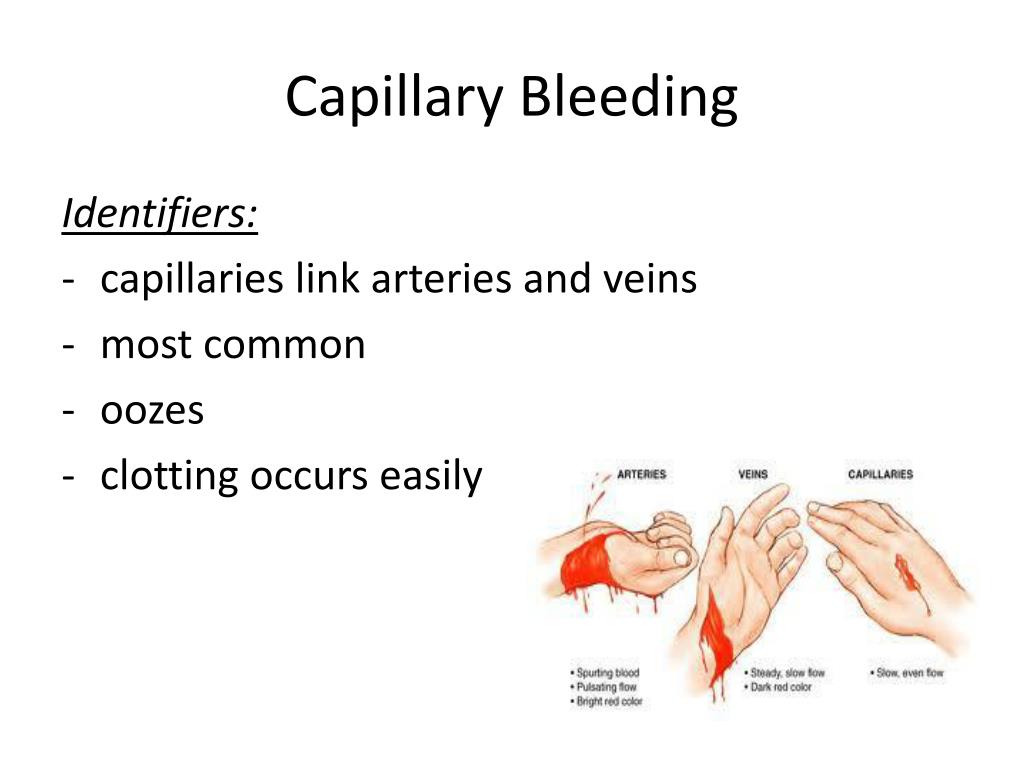 PPT Health Unit 2 First Aid PowerPoint Presentation, free download