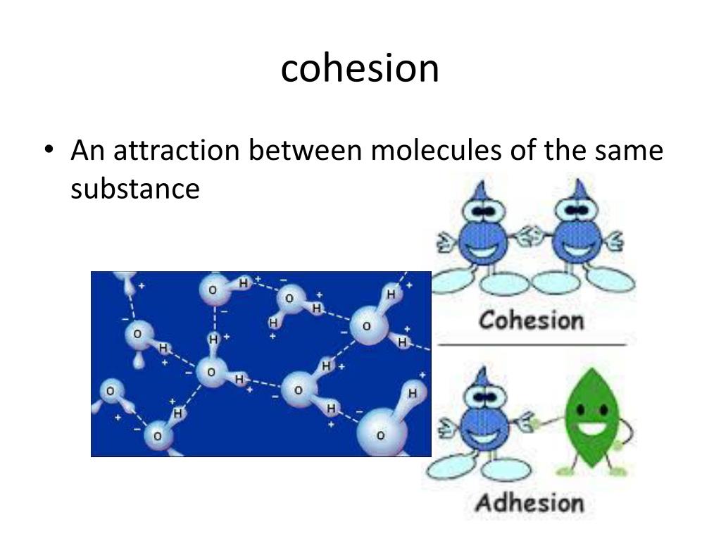 PPT The attraction between a hydrogen atom on one water molecule and