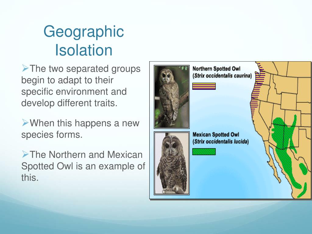 PPT Changes Over Time PowerPoint Presentation, free download ID2659651