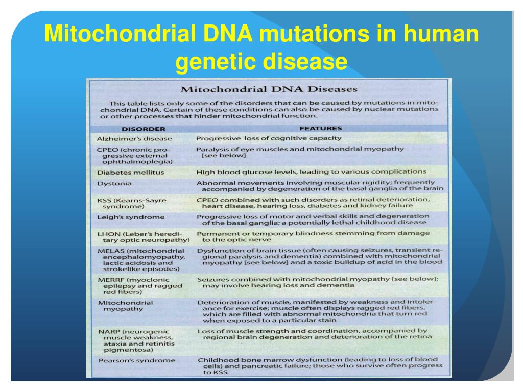 PPT Mitochondrial DNA PowerPoint Presentation, free download ID2663404