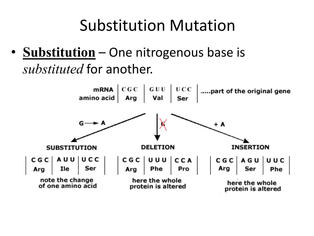PPT Mutations PowerPoint Presentation, free download ID2664465