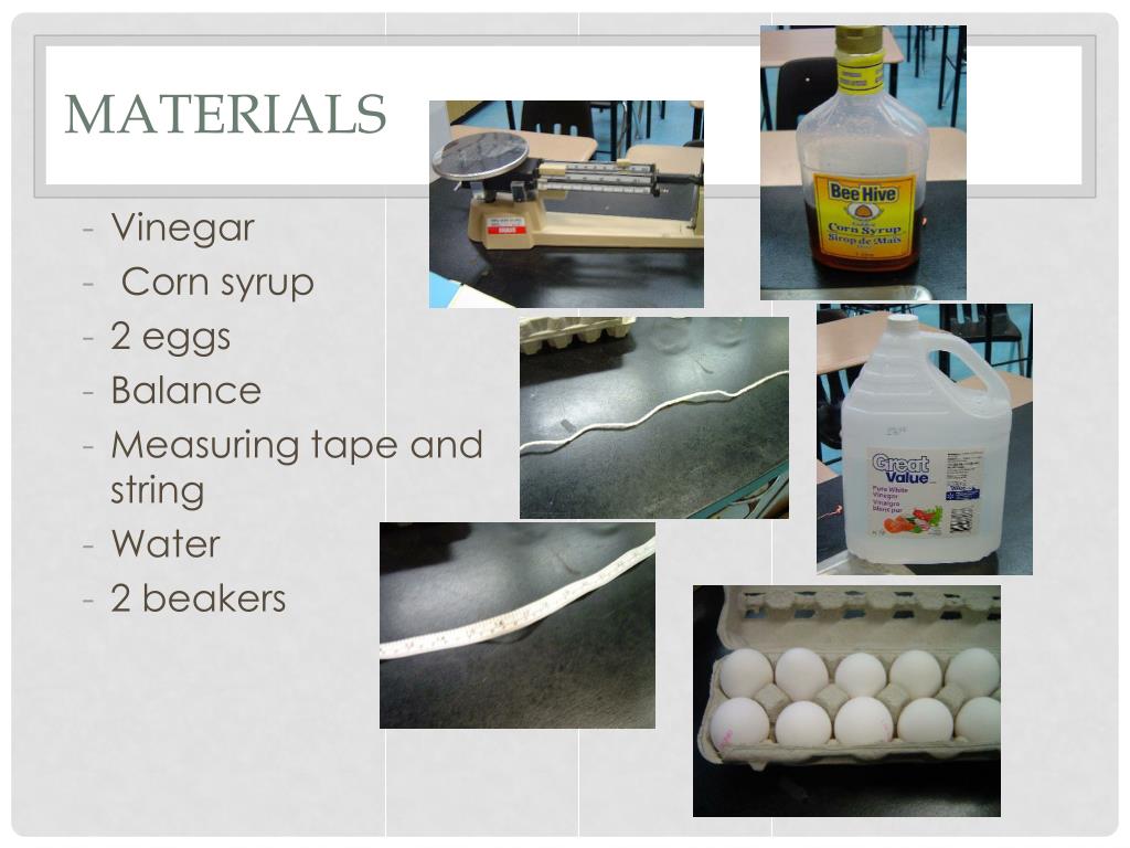 PPT Egg Osmosis Experiment PowerPoint Presentation, free download