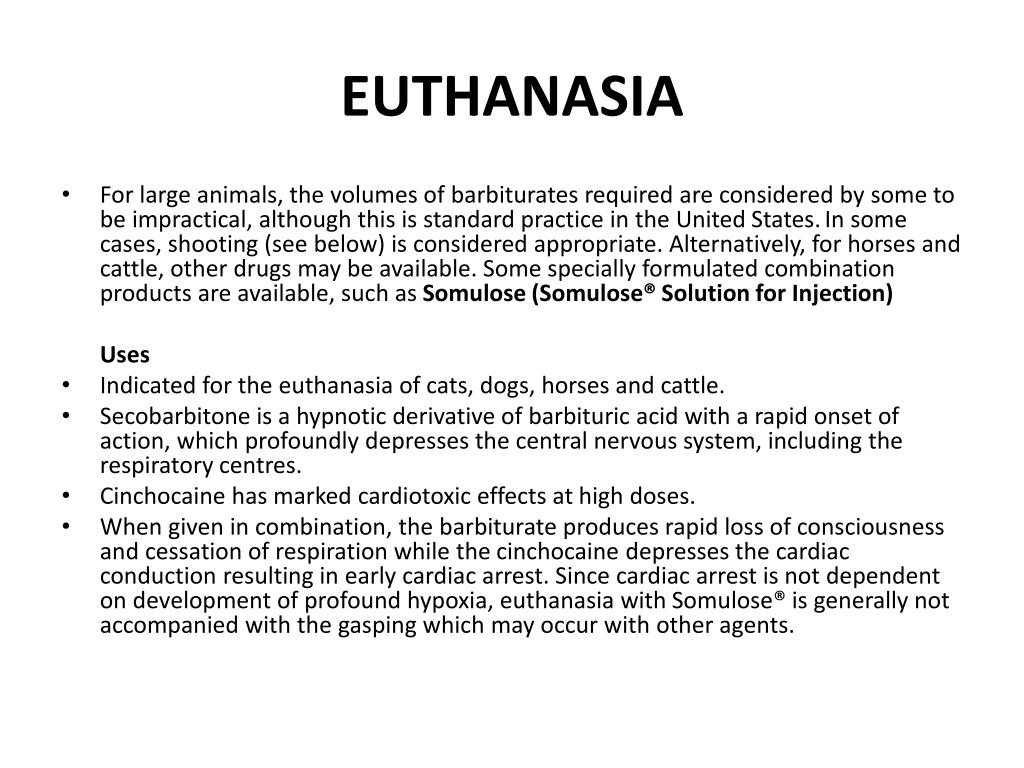 PPT Principles of Veterinary Medical Ethics of the AVMA PowerPoint