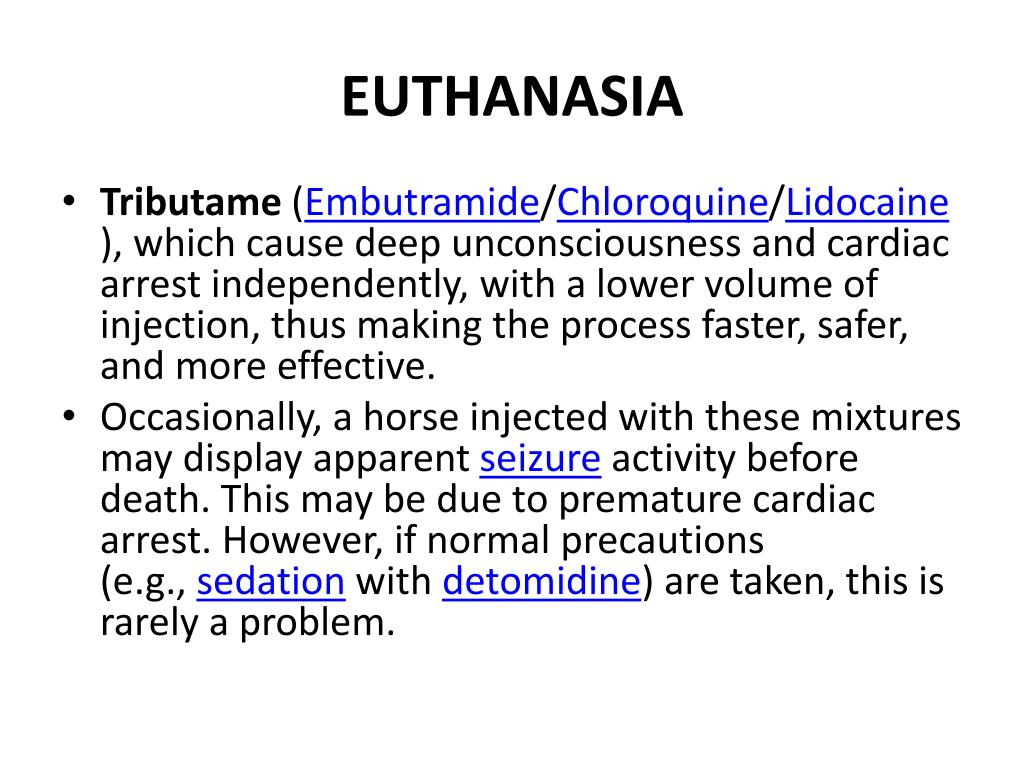 PPT Principles of Veterinary Medical Ethics of the AVMA PowerPoint