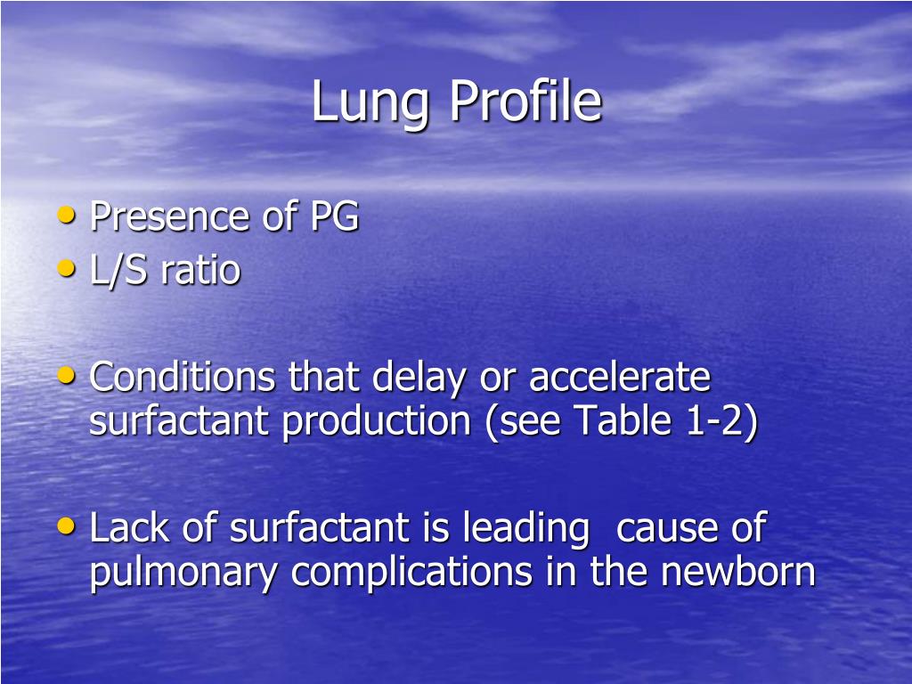 PPT Embryonic and Fetal Development of Respiratory