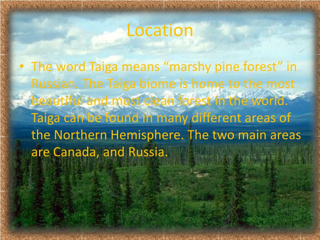 PPT Taiga PowerPoint Presentation, free download ID