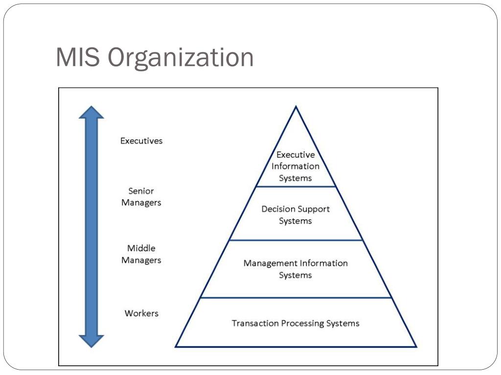 PPT Management Information Systems (MIS) PowerPoint Presentation