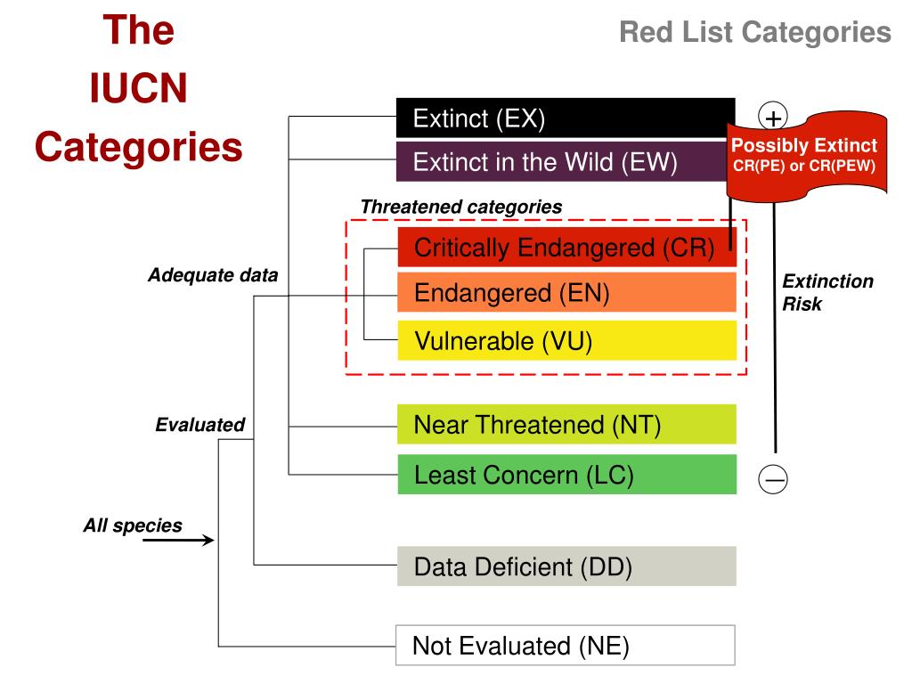 PPT IUCN Red List Categories PowerPoint Presentation, free download