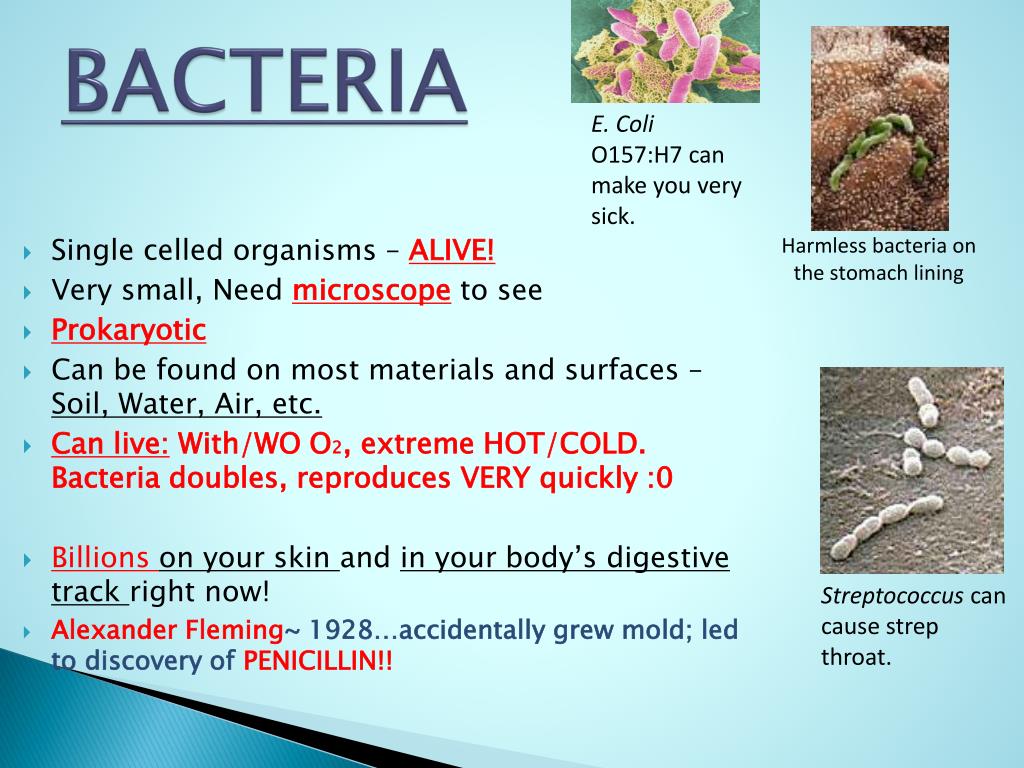 PPT MICROBES CAUSE DISEASE!! PowerPoint Presentation, free download