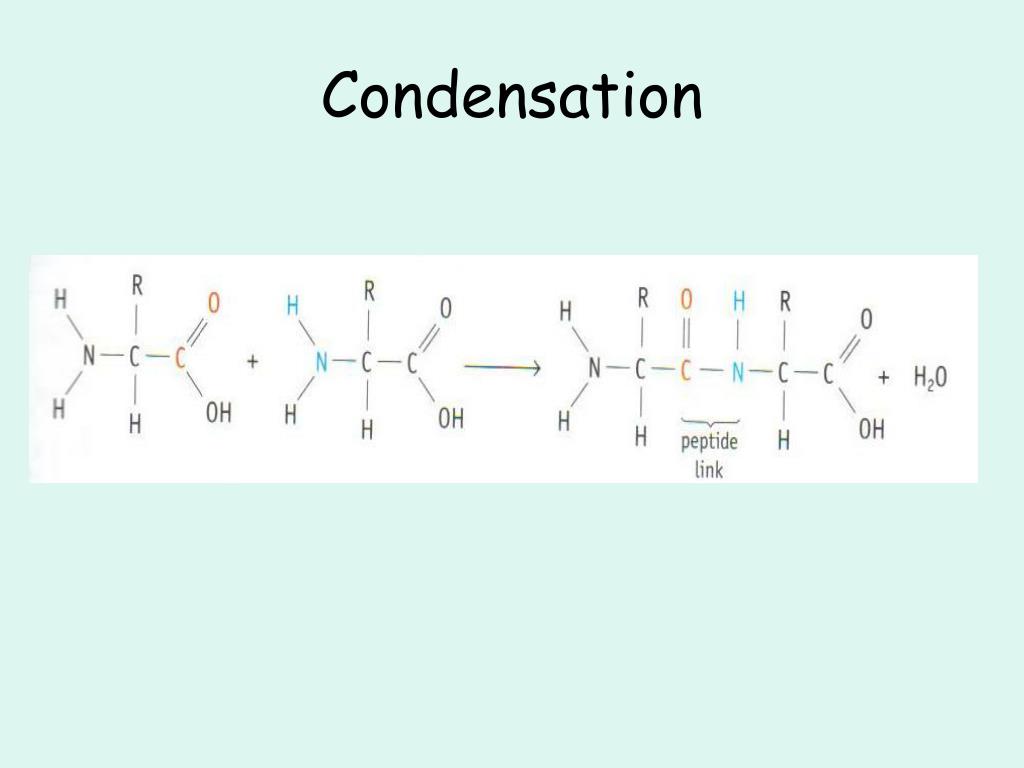 PPT Engineering Proteins PowerPoint Presentation, free download ID2683621