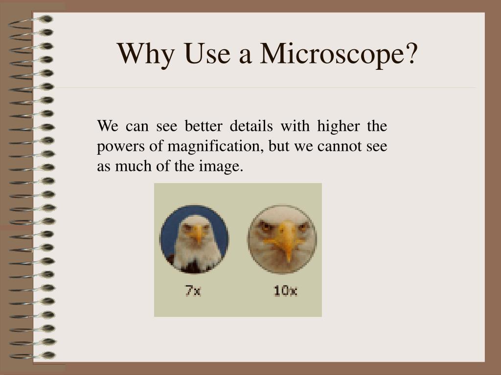 PPT Introduction to the Microscope PowerPoint Presentation, free