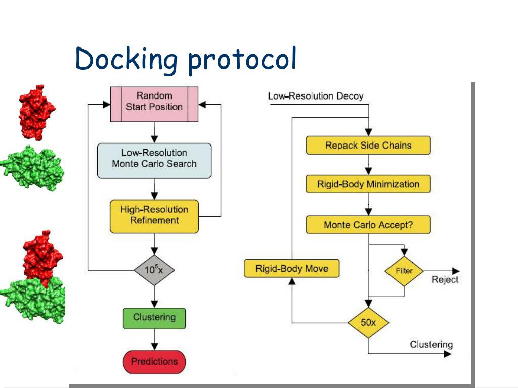 PPT Two Examples of Docking Algorithms PowerPoint Presentation, free