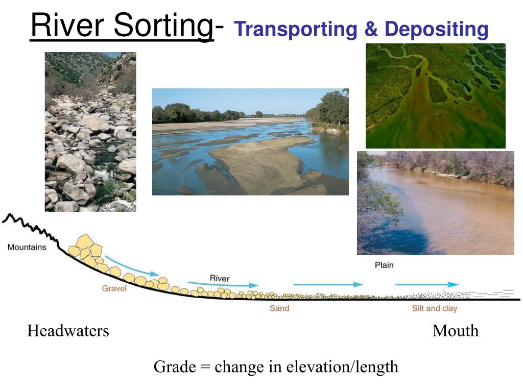 PPT Sedimentary Rocks PowerPoint Presentation, free download ID2689116