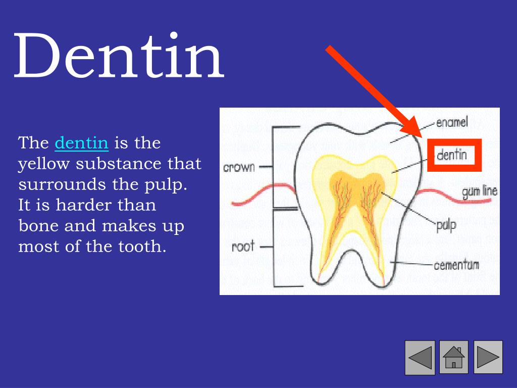 PPT Dental Health PowerPoint Presentation, free download ID2690551