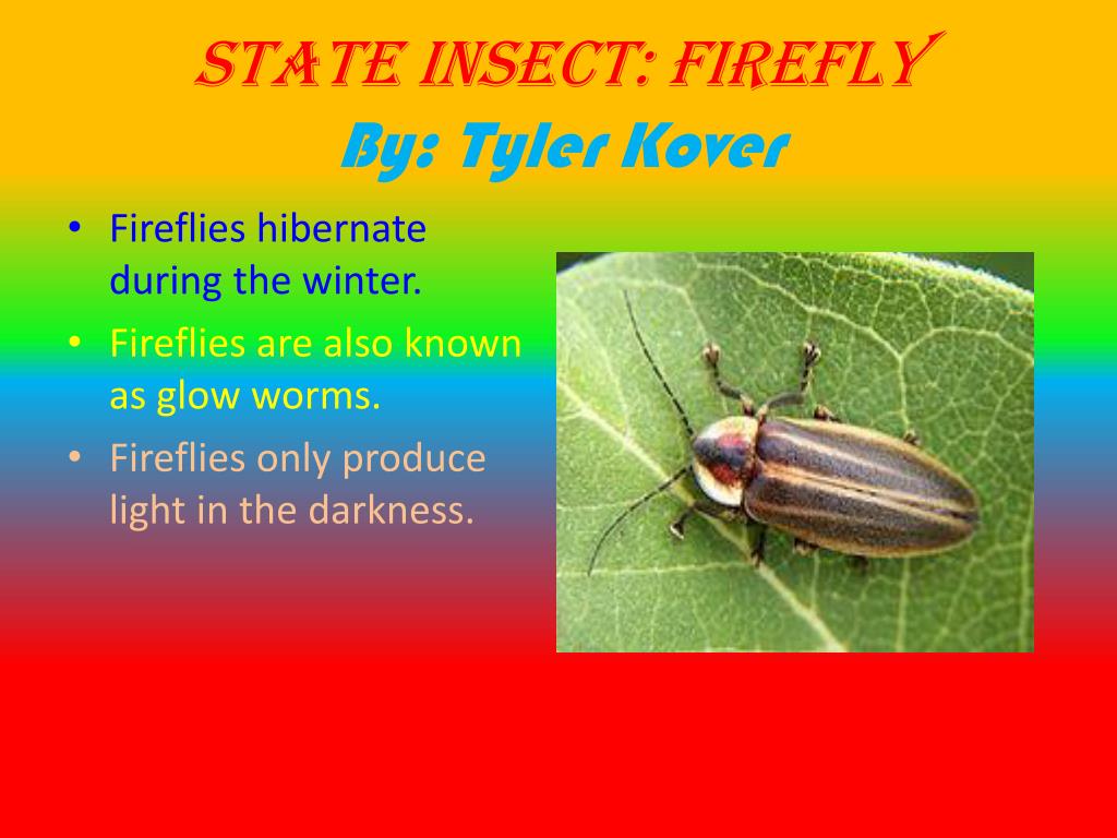 PPT 4S State Symbol Powerpoint Presentations PowerPoint Presentation