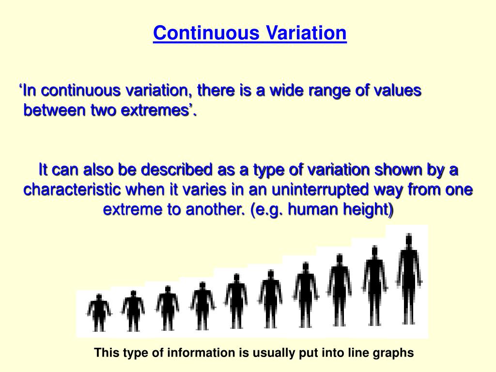 PPT Variety PowerPoint Presentation, free download ID2695221