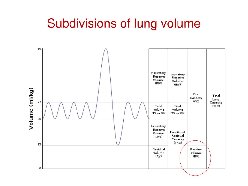 PPT Measuring Lung Volumes and AHR PowerPoint Presentation, free